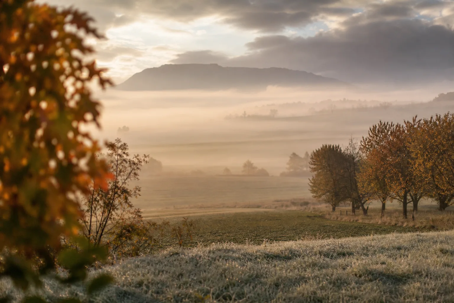 Symbolbild: Nebel und Wolken prägen regional den Start in den Tag, später sind Auflockerungen möglich.