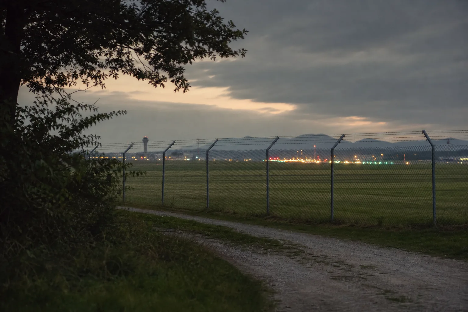 Symbolbild: Im Umfeld eines Flughafens läuft die Suche nach einer mutmaßlichen Raubkatze.